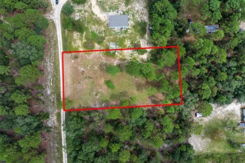 Land in Dunnellon, Florida № 1368309 - photo 13