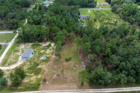 Terreno en venta en Dunnellon, Florida № 1368309 - foto 11