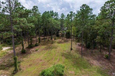 Land in Dunnellon, Florida № 1368309 - photo 16