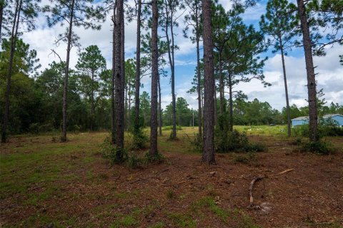 Terreno en venta en Dunnellon, Florida № 1368309 - foto 29