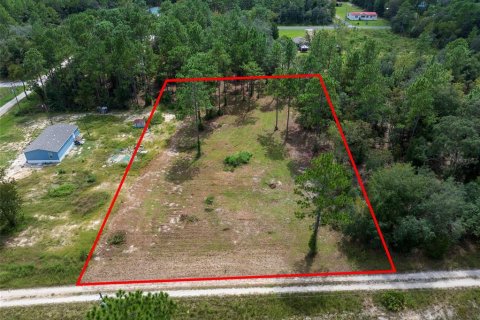 Terreno en venta en Dunnellon, Florida № 1368309 - foto 2