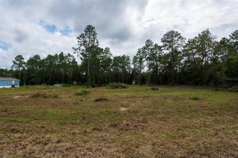 Terreno en venta en Dunnellon, Florida № 1368309 - foto 23