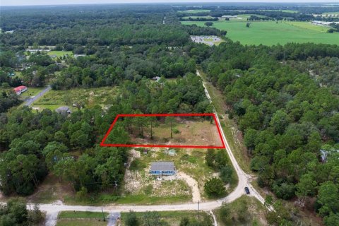 Terreno en venta en Dunnellon, Florida № 1368309 - foto 7