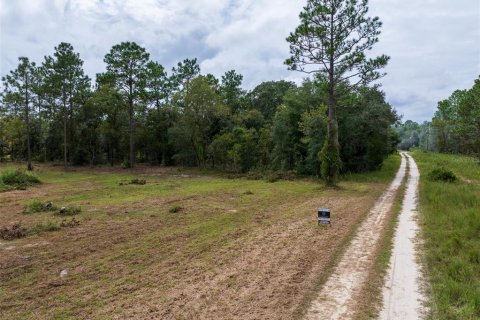 Terreno en venta en Dunnellon, Florida № 1368309 - foto 17