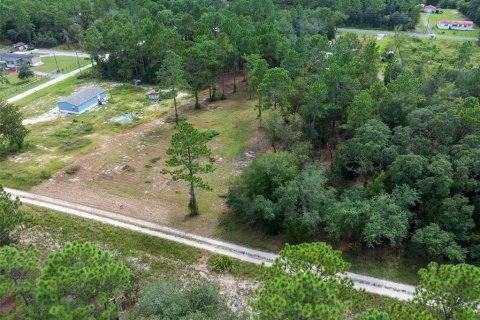 Terrain à vendre à Dunnellon, Floride № 1368309 - photo 3