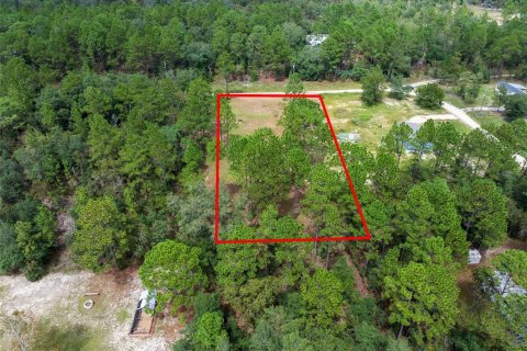 Terreno en venta en Dunnellon, Florida № 1368309 - foto 5