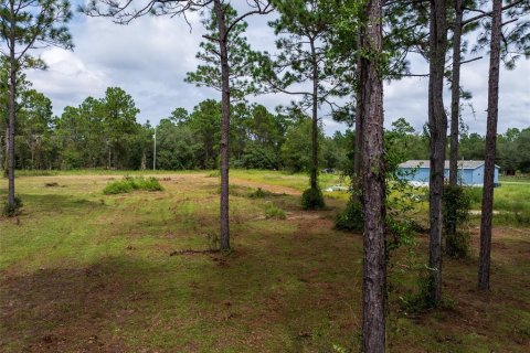 Terrain à vendre à Dunnellon, Floride № 1368309 - photo 19