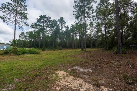 Terreno en venta en Dunnellon, Florida № 1368309 - foto 25