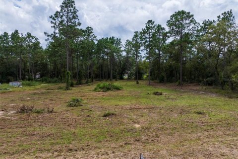 Terrain à vendre à Dunnellon, Floride № 1368309 - photo 18