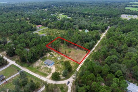 Terreno en venta en Dunnellon, Florida № 1368309 - foto 8