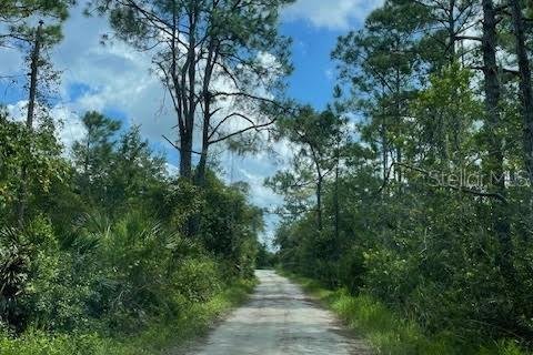 Land in New Smyrna Beach, Florida № 1363009 - photo 5