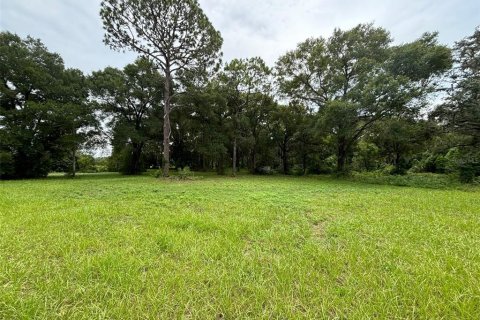 Land in DeLand, Florida № 1300822 - photo 14