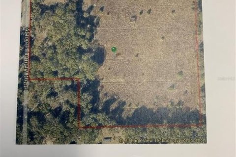 Land in DeLand, Florida № 1300822 - photo 1