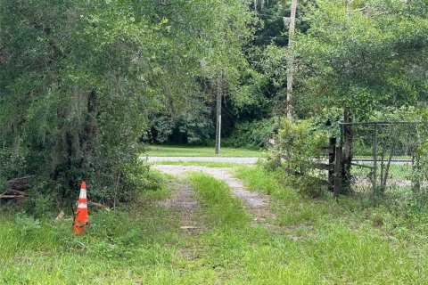 Terrain à vendre à DeLand, Floride № 1300822 - photo 3