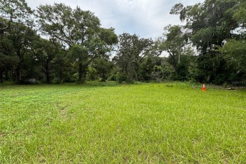 Terreno en venta en DeLand, Florida № 1300822 - foto 15