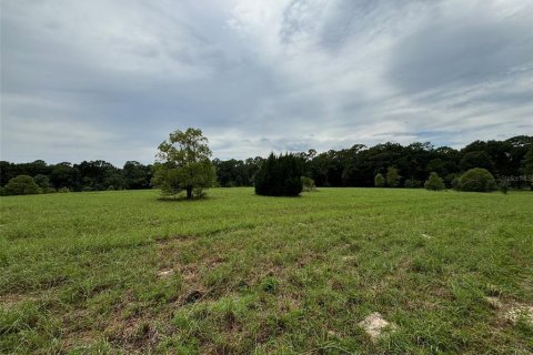 Terrain à vendre à DeLand, Floride № 1300822 - photo 6