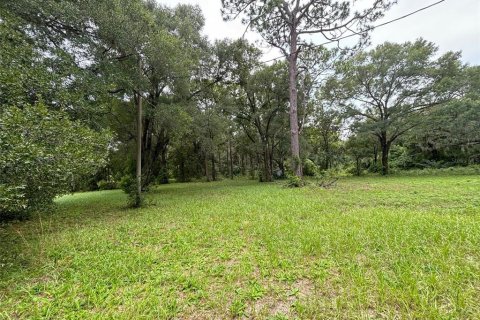 Terreno en venta en DeLand, Florida № 1300822 - foto 13