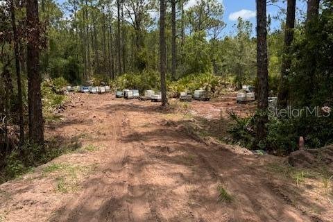 Terreno en venta en Mims, Florida № 1387498 - foto 3