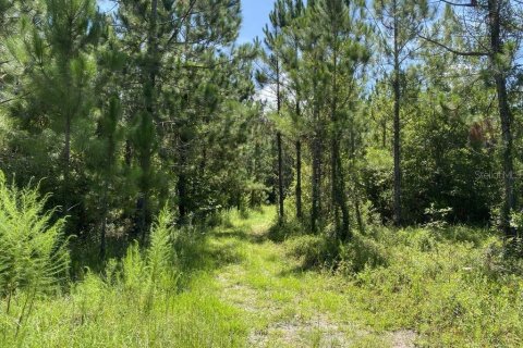 Terreno en venta en Palatka, Florida № 1288412 - foto 12