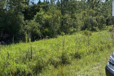 Terrain à vendre à Palatka, Floride № 1288412 - photo 8