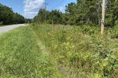 Terrain à vendre à Palatka, Floride № 1288412 - photo 4