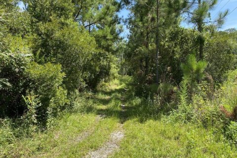 Land in Palatka, Florida № 1288412 - photo 1