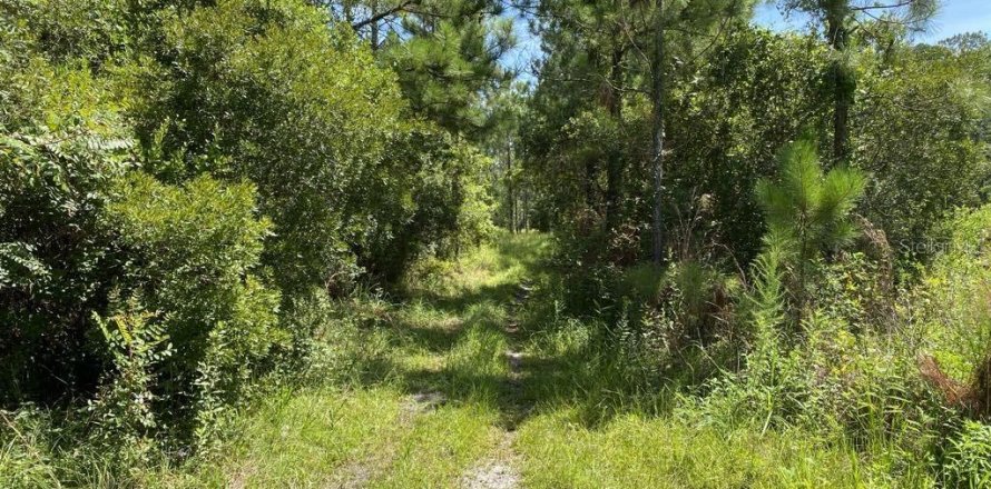 Terrain à Palatka, Floride № 1288412