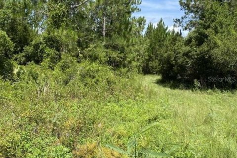 Terreno en venta en Palatka, Florida № 1288412 - foto 5