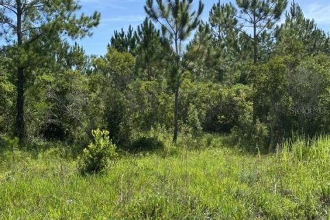 Terreno en venta en Palatka, Florida № 1288412 - foto 15