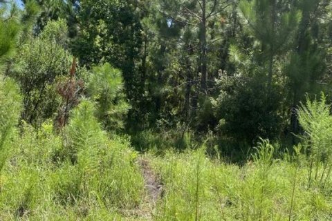 Terrain à vendre à Palatka, Floride № 1288412 - photo 6