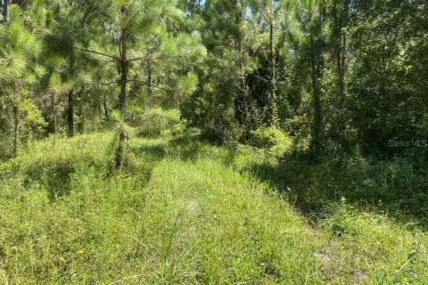 Terrain à vendre à Palatka, Floride № 1288412 - photo 10