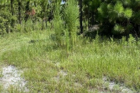 Terrain à vendre à Palatka, Floride № 1288412 - photo 2