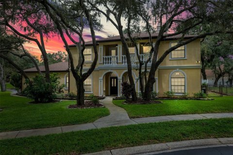 House in New Port Richey, Florida 6 bedrooms, 335.38 sq.m. № 1363464 - photo 1