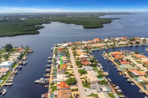 Villa ou maison à vendre à New Port Richey, Floride: 3 chambres, 177.63 m2 № 1317326 - photo 8