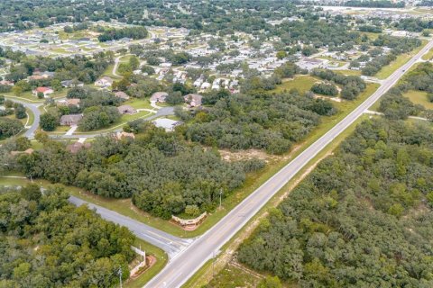 Land in Spring Hill, Florida № 1363998 - photo 6