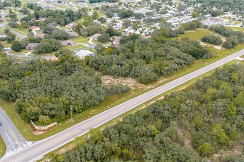 Land in Spring Hill, Florida № 1363998 - photo 2