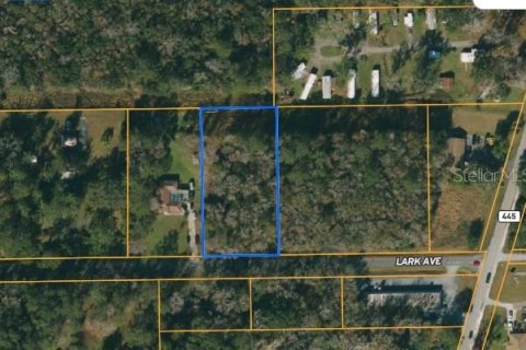 Terreno en venta en Brooksville, Florida № 1318400 - foto 3