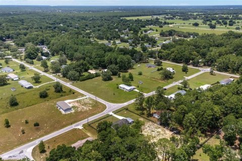 Land in Ocala, Florida № 1366514 - photo 7