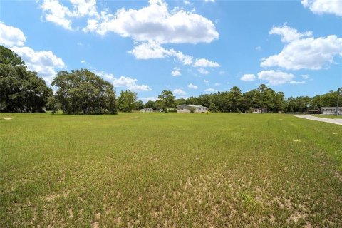 Terreno en venta en Ocala, Florida № 1366514 - foto 3