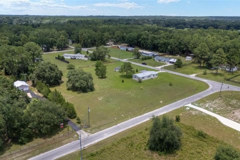 Terreno en venta en Ocala, Florida № 1366514 - foto 5