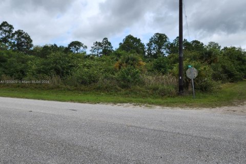 Land in Clewiston, Florida № 1094055 - photo 3
