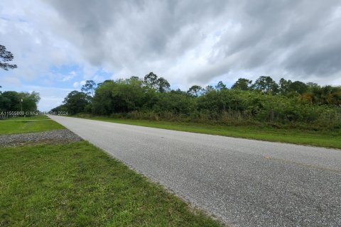 Land in Clewiston, Florida № 1094055 - photo 6