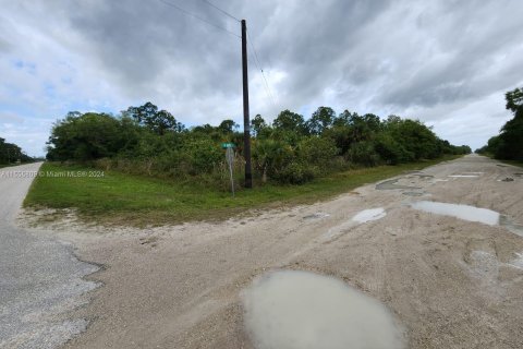 Terreno en venta en Clewiston, Florida № 1094055 - foto 2