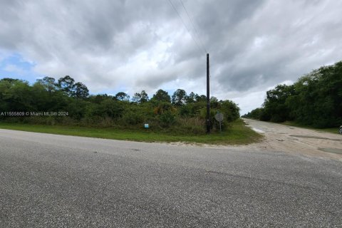 Terreno en venta en Clewiston, Florida № 1094055 - foto 7
