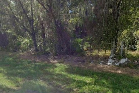 Terreno en venta en Webster, Florida № 1366345 - foto 2