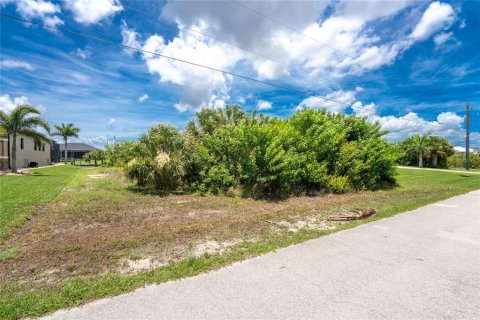 Terreno en venta en Port Charlotte, Florida № 1245132 - foto 3