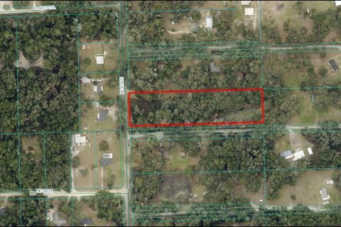 Land in Anthony, Florida № 1369421 - photo 1