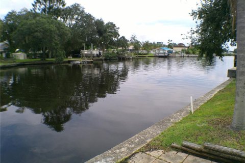 Villa ou maison à vendre à Tampa, Floride: 3 chambres, 140.65 m2 № 1364558 - photo 25