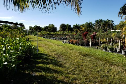 Land in Loxahatchee Groves, Florida № 55153 - photo 6