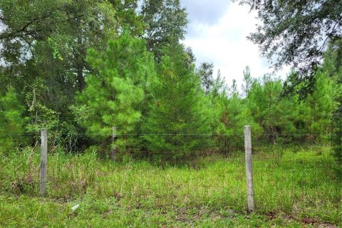 Terreno en venta en Lake Butler, Florida № 1363130 - foto 2